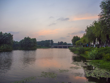 龙王河湿地公园