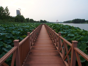 莒南县鸡龙河水利风景区