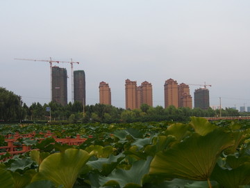 莒南县鸡龙河水利风景区