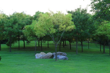 莒南县鸡龙河水利风景区