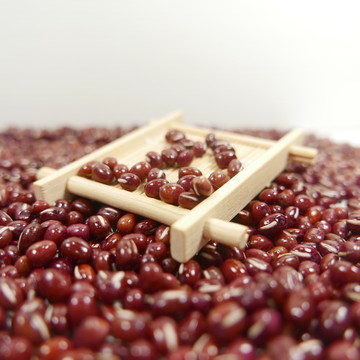 红小豆红豆赤小豆
