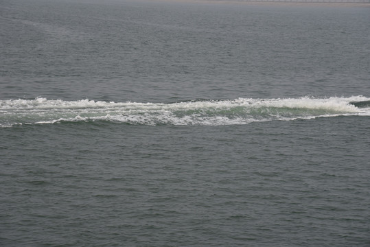 海水