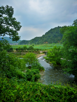 风景