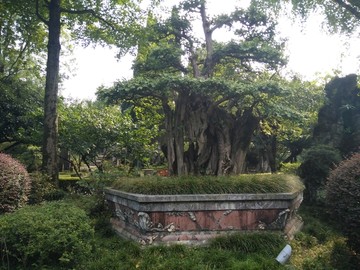 都江堰风景