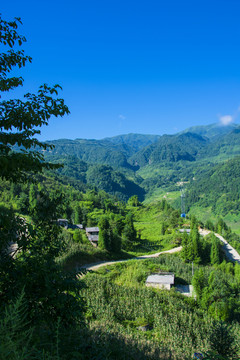 山野