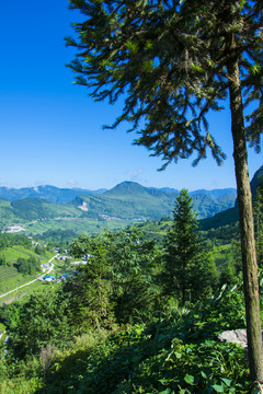 山野