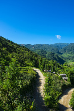 山野