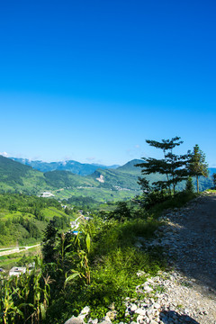 山野