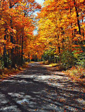 美丽秋色秋天公路