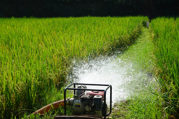 水稻灌溉