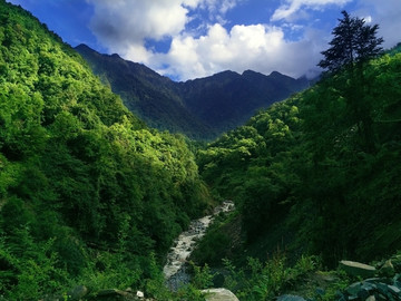 原始森林峡谷