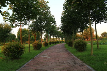 莒南县鸡龙河水利风景区