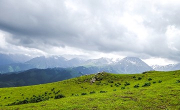 高山草甸