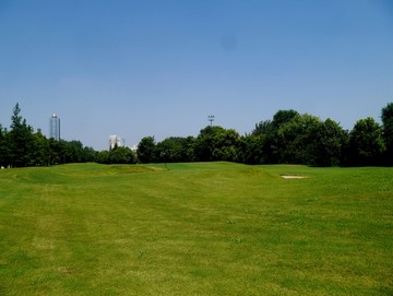 高尔夫球场
