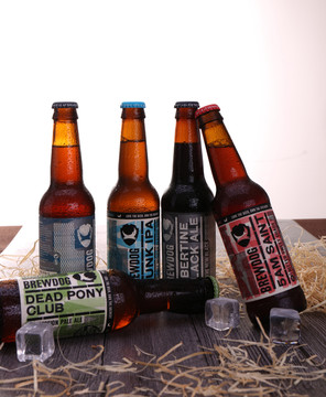 酿酒狗精酿啤酒brewdog