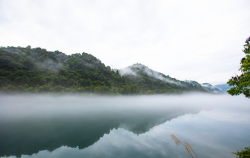 雾景