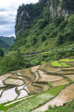 田园风光