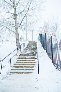 伊尔库茨克的冬季街景