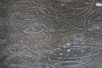 小雨涟漪