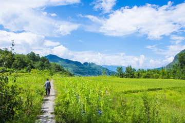 田野