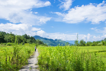田园风光