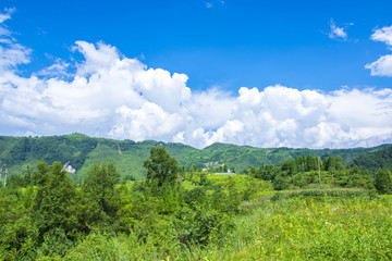 青山绿水