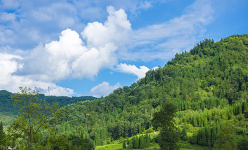 青山