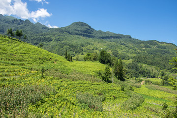 兴隆村自然风光