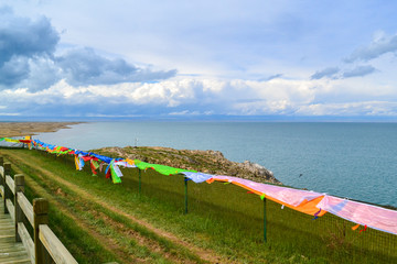 青海湖鸟岛