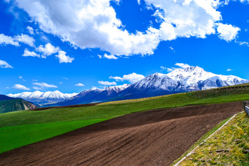 卓尔山风景区