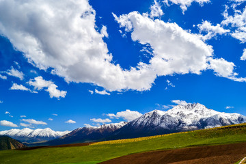 卓尔山风景区