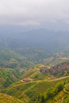 龙脊梯田