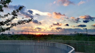 上海浦江郊野公园黄昏美景