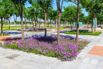 城市广场花圃