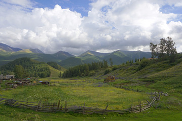 新疆白哈巴村牧场和林地风光