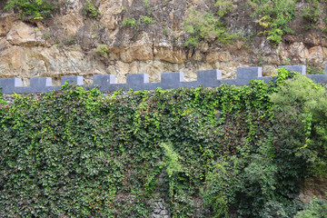 长城墙上绿色植物背景