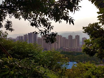 公园远望城市风景