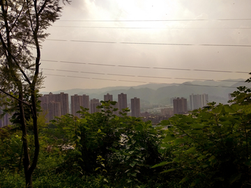 公园远望城市风景