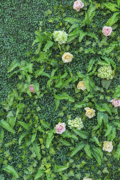 植物花卉墙