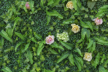 植物花卉墙