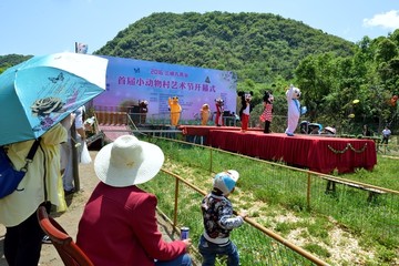 九凤谷景区