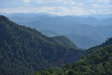 青山