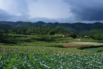 小山村