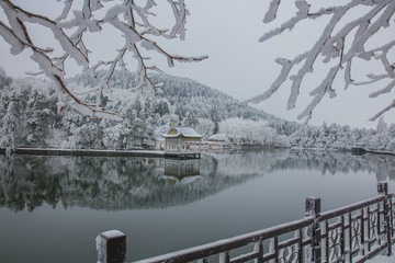 如琴湖之冬
