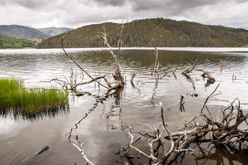 普达措森林湖泊