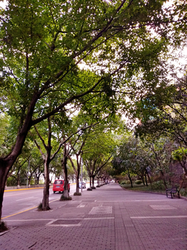 街头道路风景