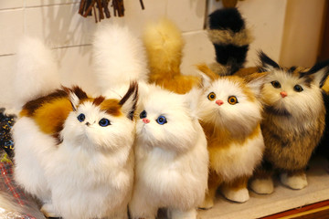 四只小猫