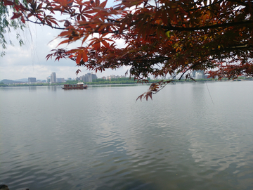 野外风景