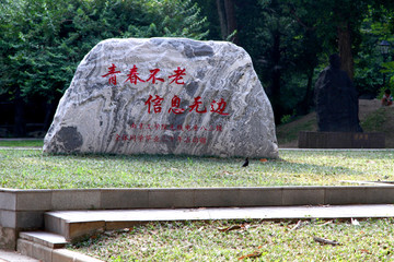 南京大学校友赠石