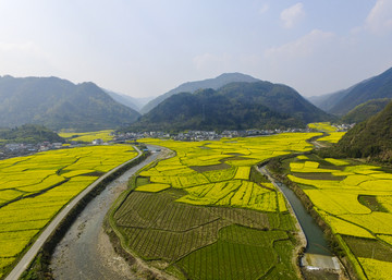 田园花海